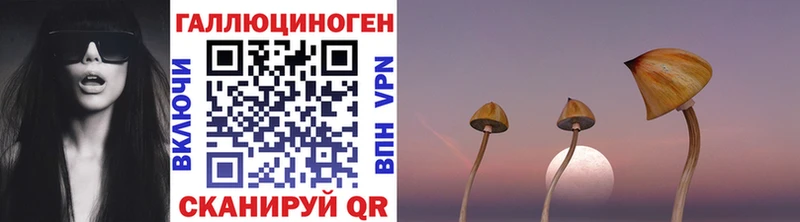 Псилоцибиновые грибы MAGIC MUSHROOMS  кракен ССЫЛКА  Великий Новгород 